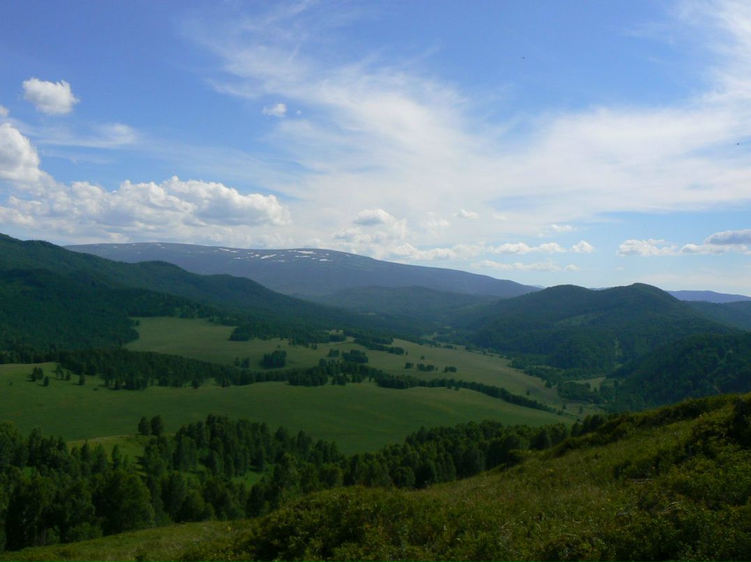 Вячеслав Рощин | 