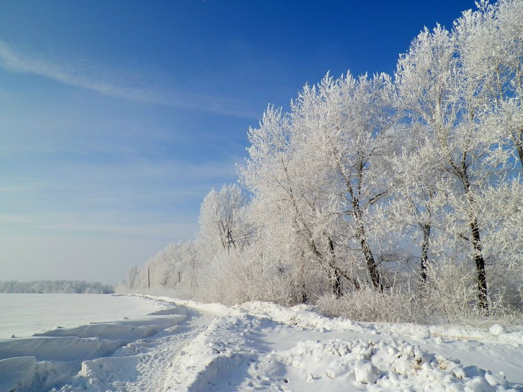 Александр Богдан al.bogdan | Кременчуг