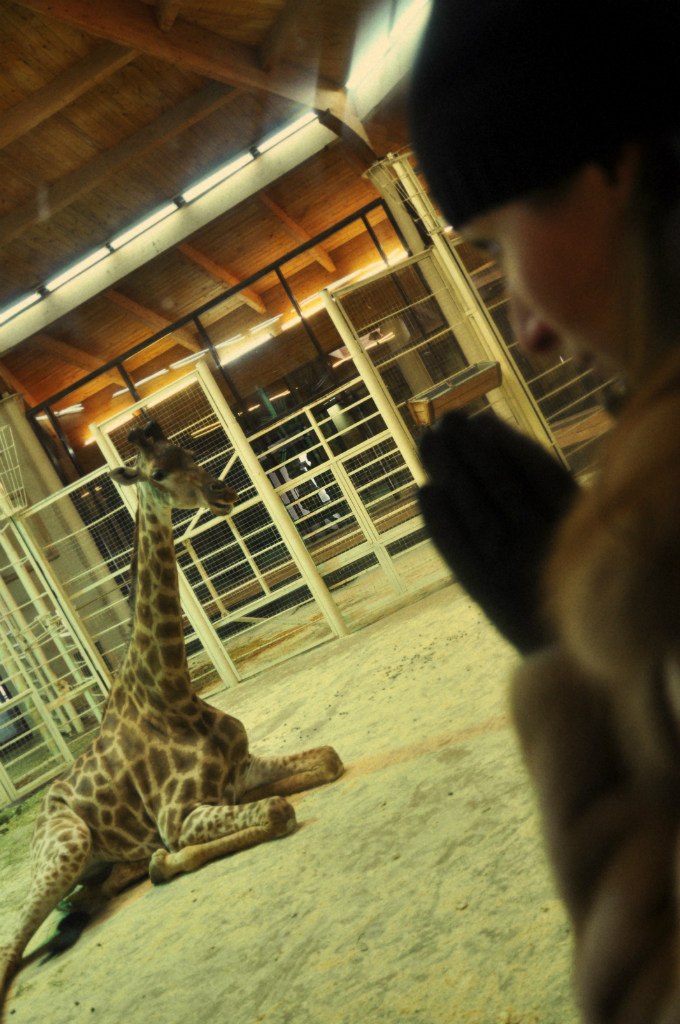 Наталя Фильчугова | Москва