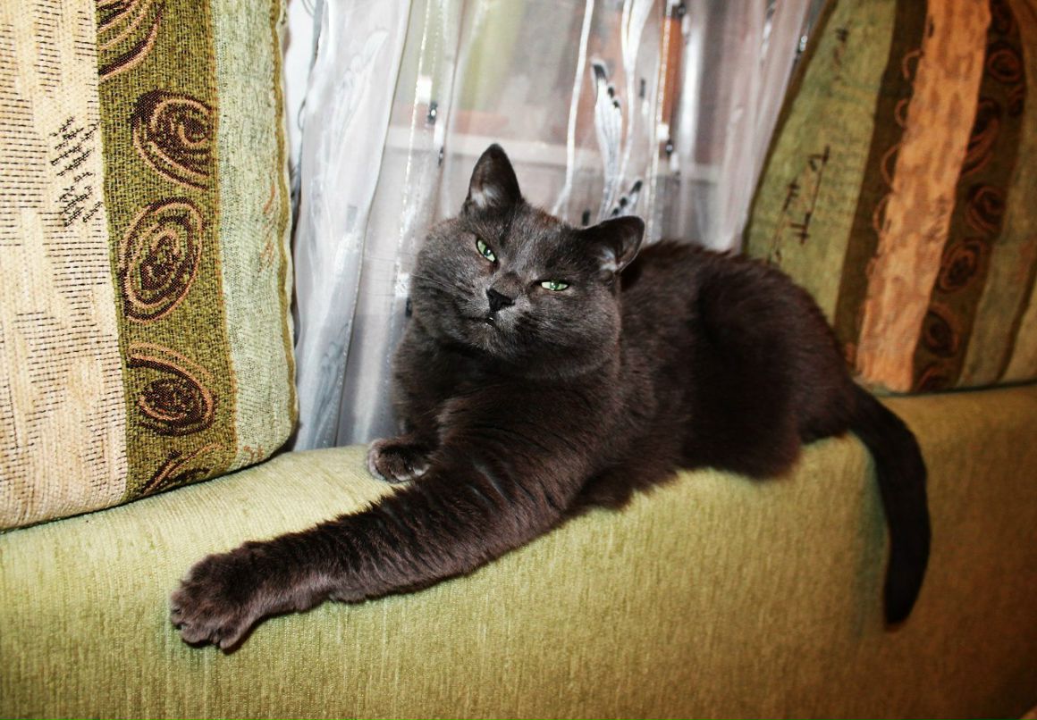 Dima Koshelev | Казань