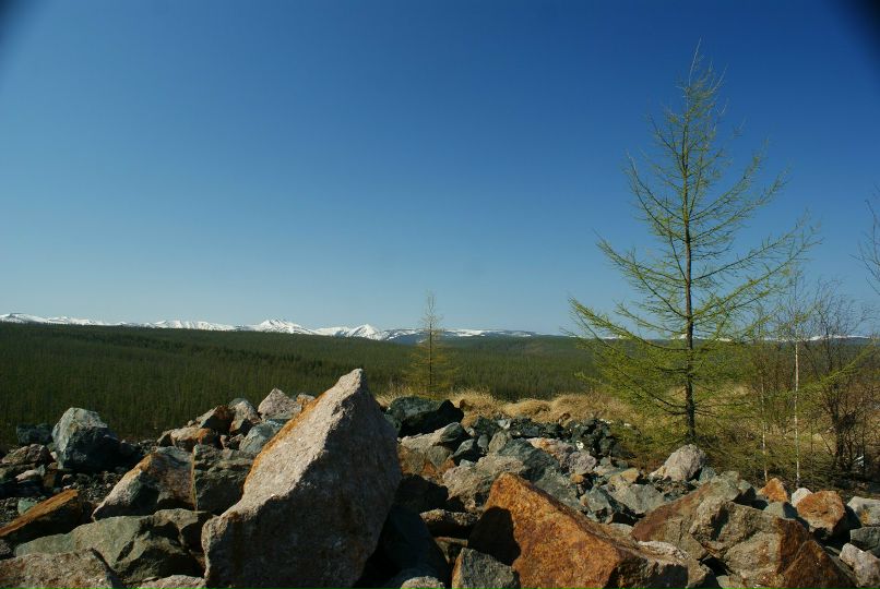 Иван Босниец | 