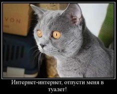 Олька Мехх | Киев