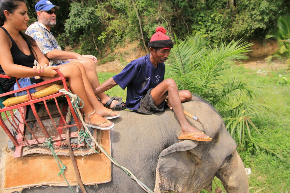 Александр Ковалёв | Paris