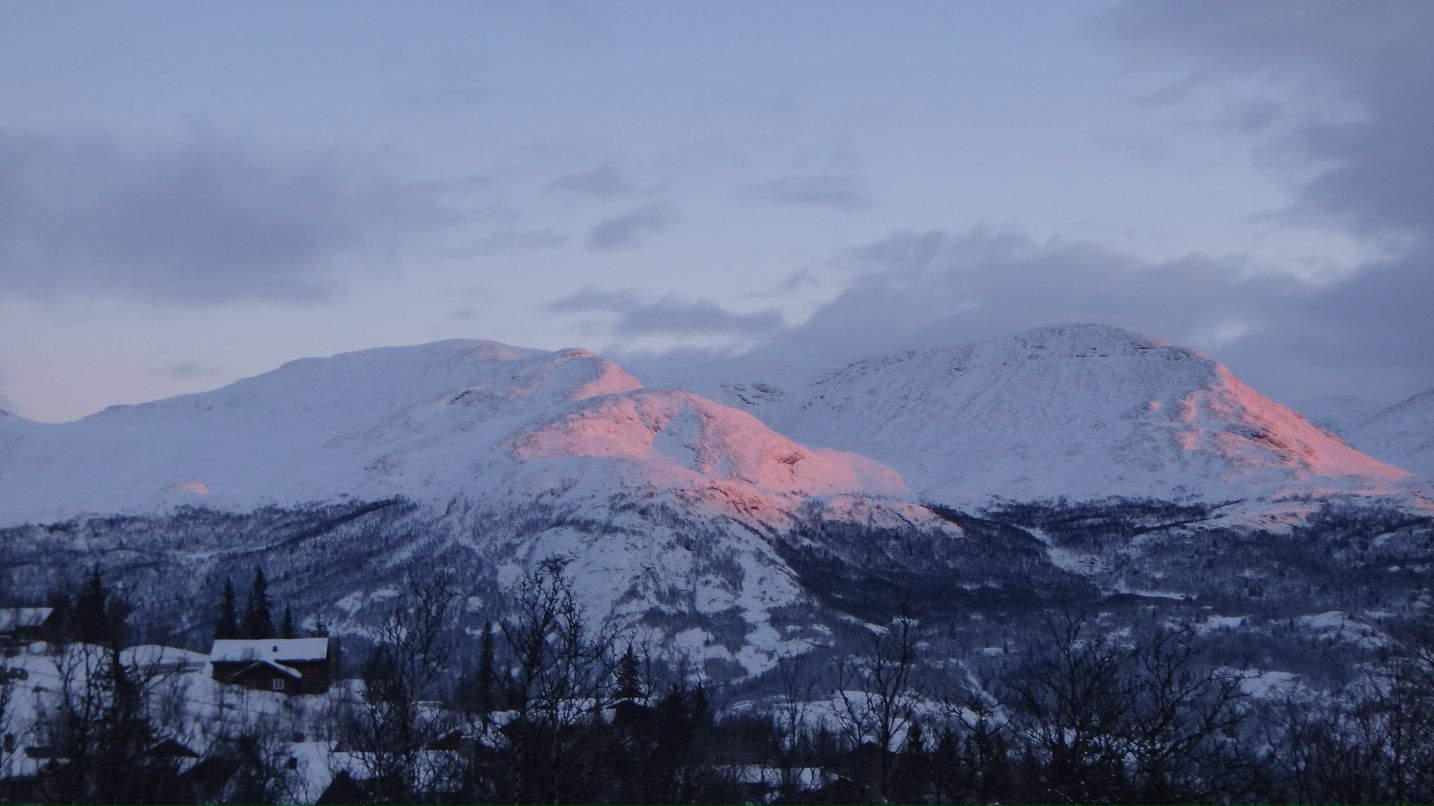 Ксения Фокша | Тверь