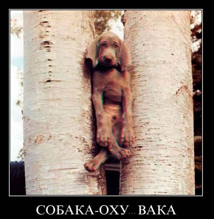 Константин Черенков | Москва