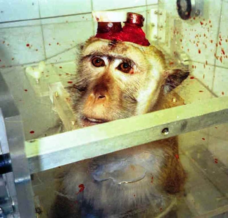 Алиса Причудина | Москва