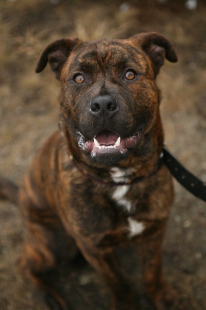 Никита Комса | Минск