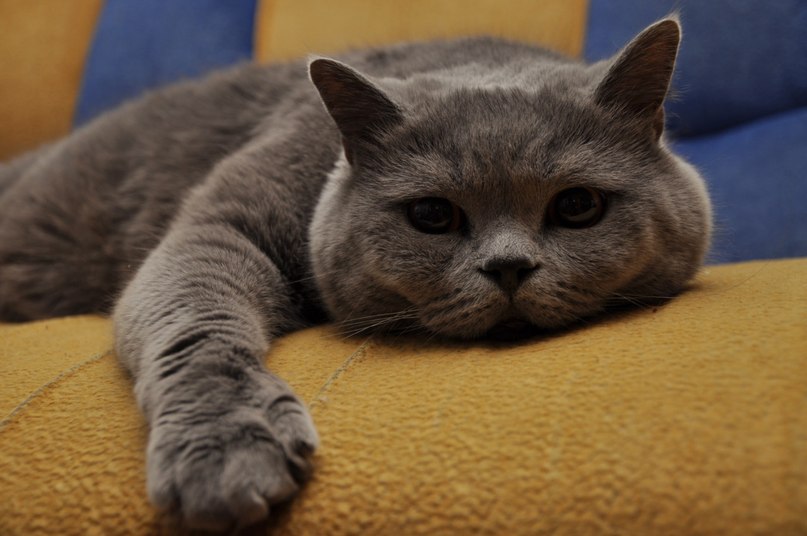 Михаил Крамаренко | Донецк