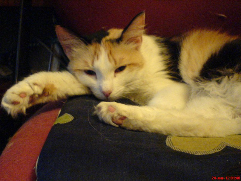 Владислав Васильев | Самара