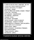 №15 Надя Герт