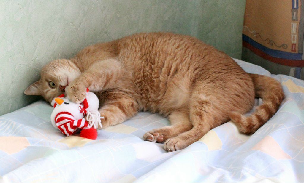 Олег Богдяж | Москва