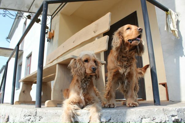 №106, Юля Тесля, Киев №106, Юля Тесля, Киев