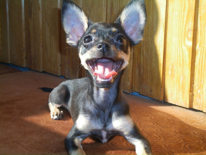 Наталья Демидова | Тюмень