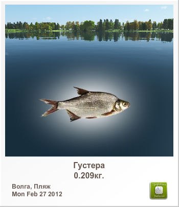 Максим Павлюковский | Сыктывкар