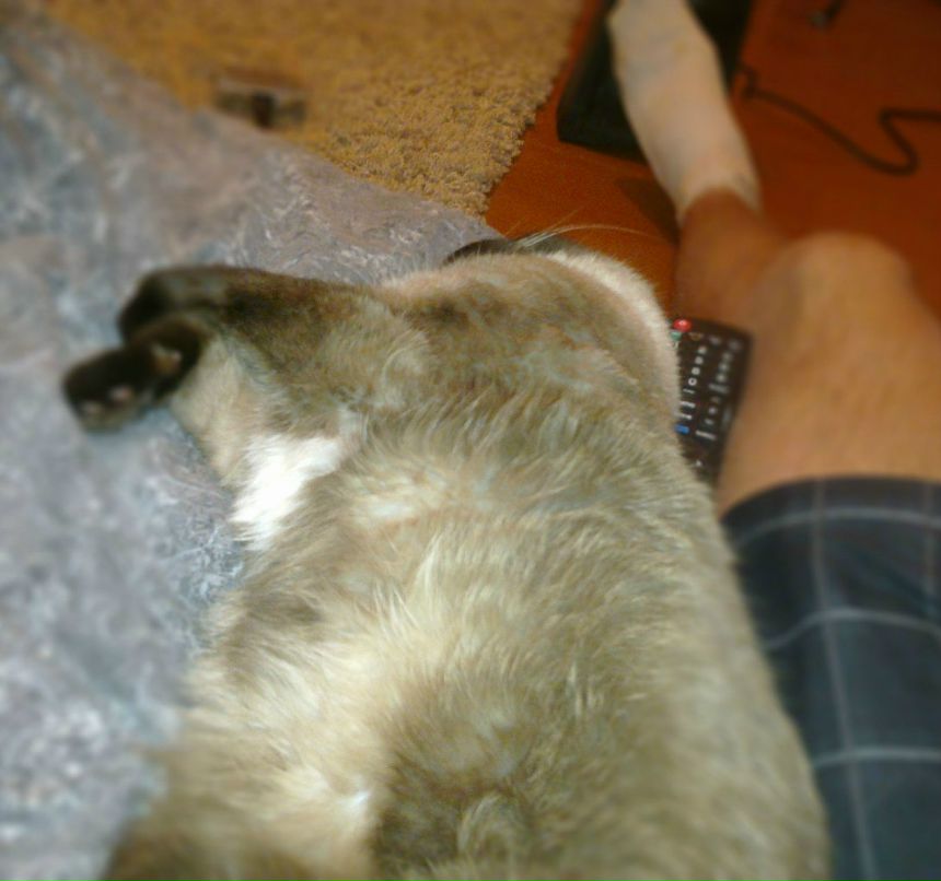 Illia Sh | Минск