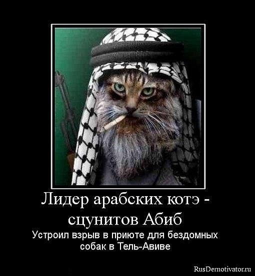 Надежда Клокова | Магнитогорск