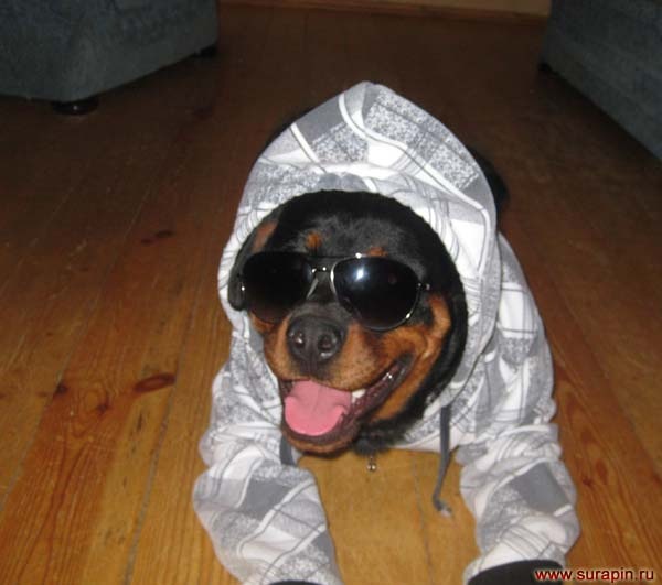 №3, Макс Аметистов №3, Макс Аметистов