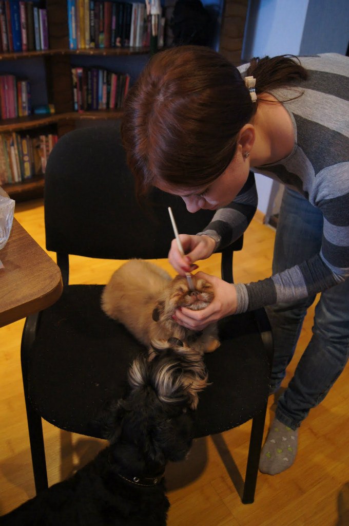 Мария Геворкянц | Ессентуки