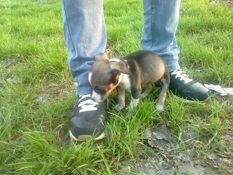 №21, Саша Чесноков, 38 лет, Волжский №21, Саша Чесноков, 38 лет, Волжский