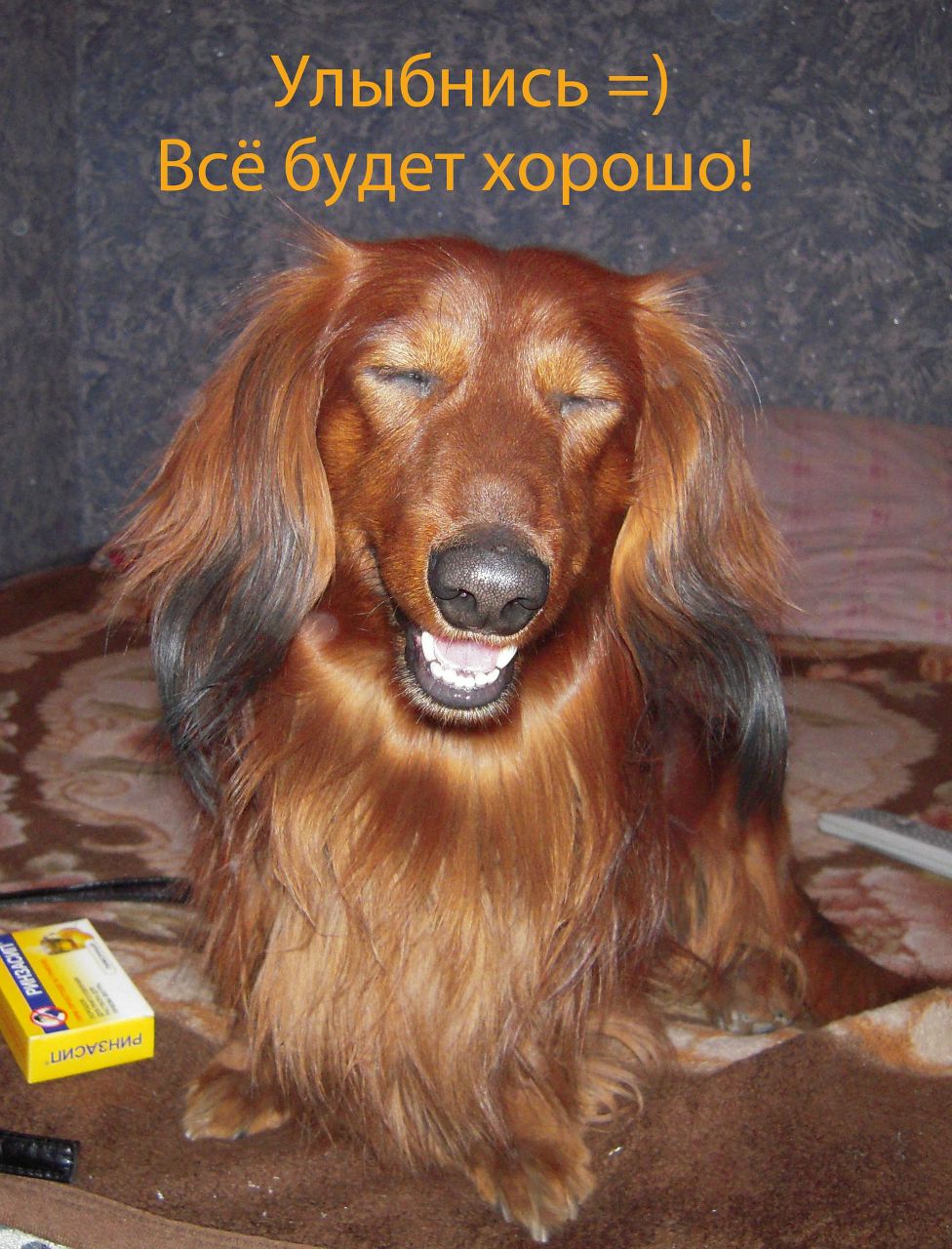 Ярослав Андреев | Самара