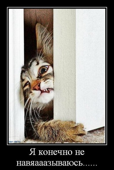 Анастасия Халимончук ٩(̾●̮̮̃̾•̃̾)۶ | Одесса