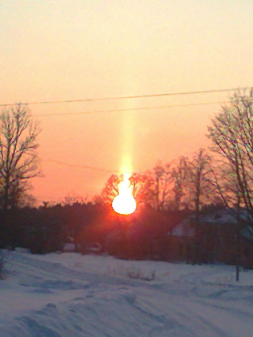 Еленка Бучнева | Таганрог