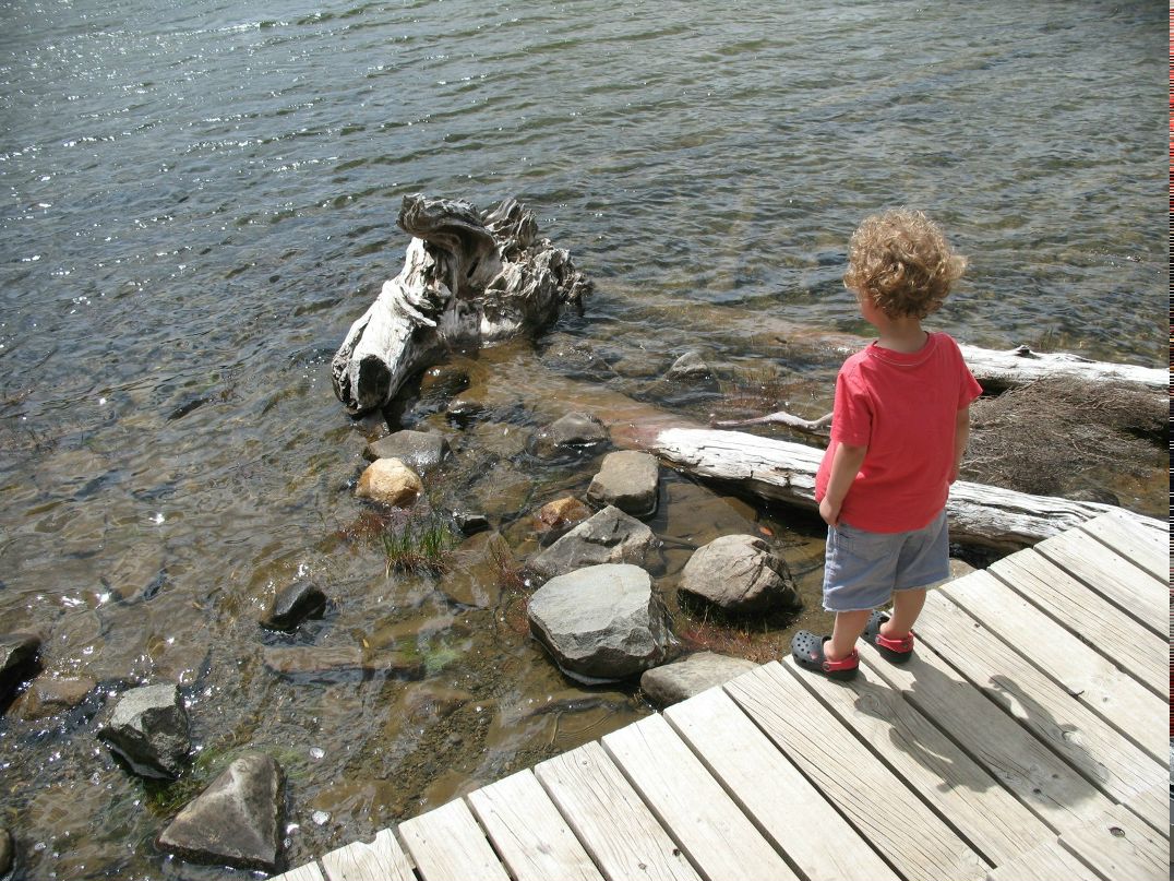 Виктория Ларионова | Hobart