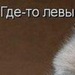 Ирина Чувилькова фотография #44 (источник - https://vk.com/id62788219)