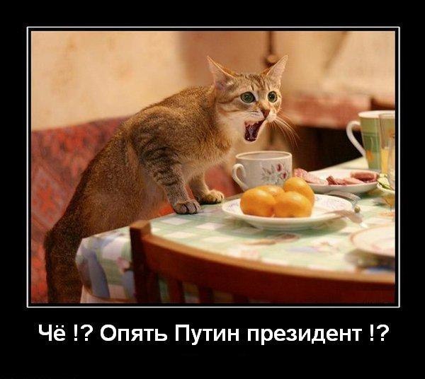 Фарида Заерова | Казань