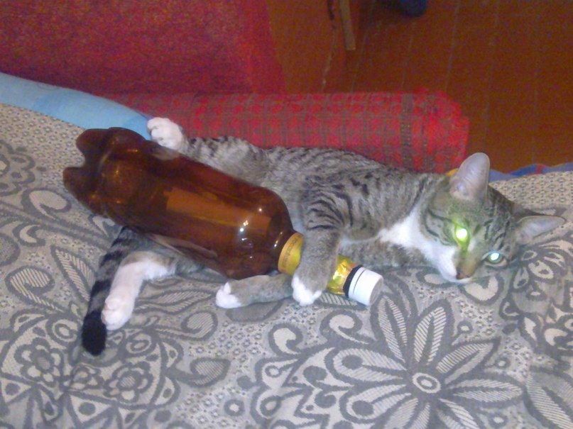 Александр Зеленский | Сибирский