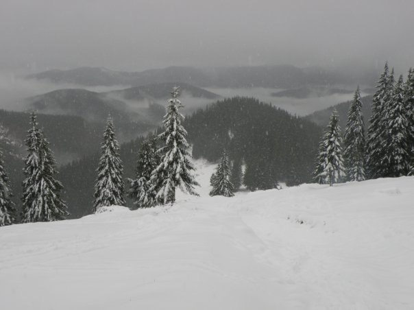Наталія Тацишин-Войчишин | Ивано-Франковск