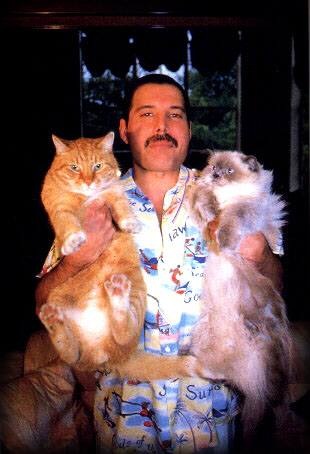 №81, Нина Шетова №81, Нина Шетова