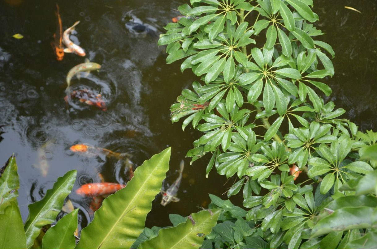 Анастасия Ушакова | 