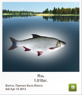 Иван Дунский | Липецк