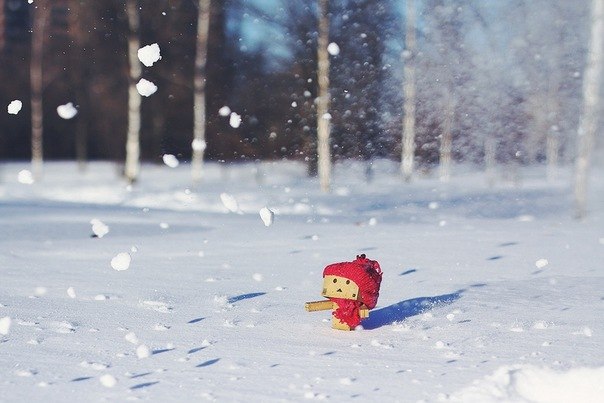 Мария Антонова Mallika | Santa Cruz