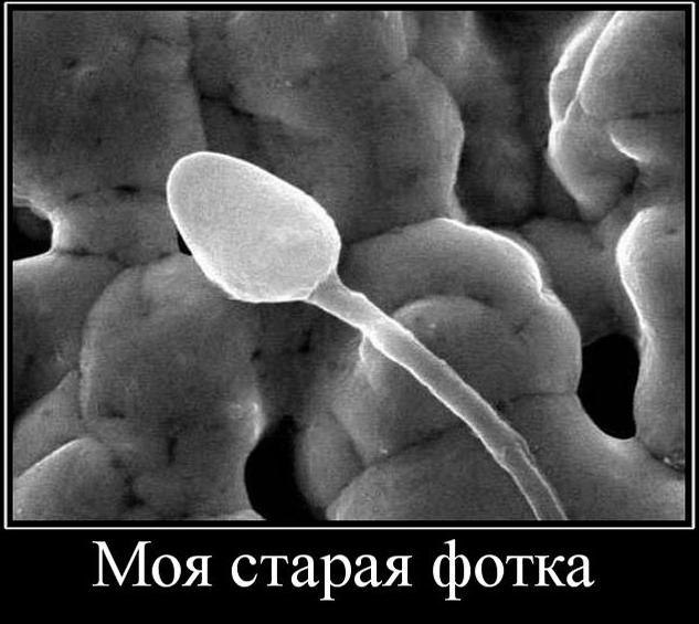 Женя Цатнев ЖАФОНЯ | Новосибирск