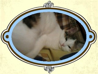 Ольга Авдюнина | Рыбинск