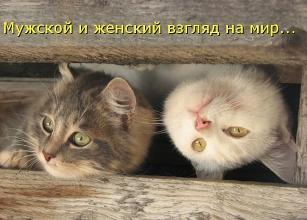 Вячеслав Добрягин | Санкт-Петербург