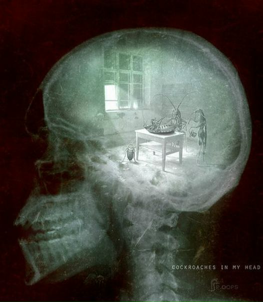 №128, Игорь Мирный, Львов №128, Игорь Мирный, Львов