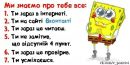 №3 Миша Мороз : профиль, фото, статус - ВКонтакте