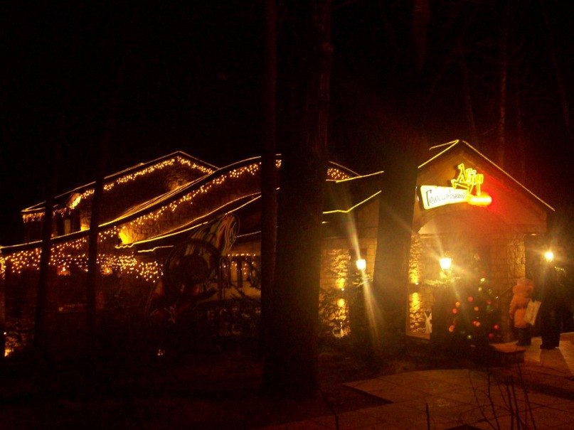 Рома Чобан | Черновцы