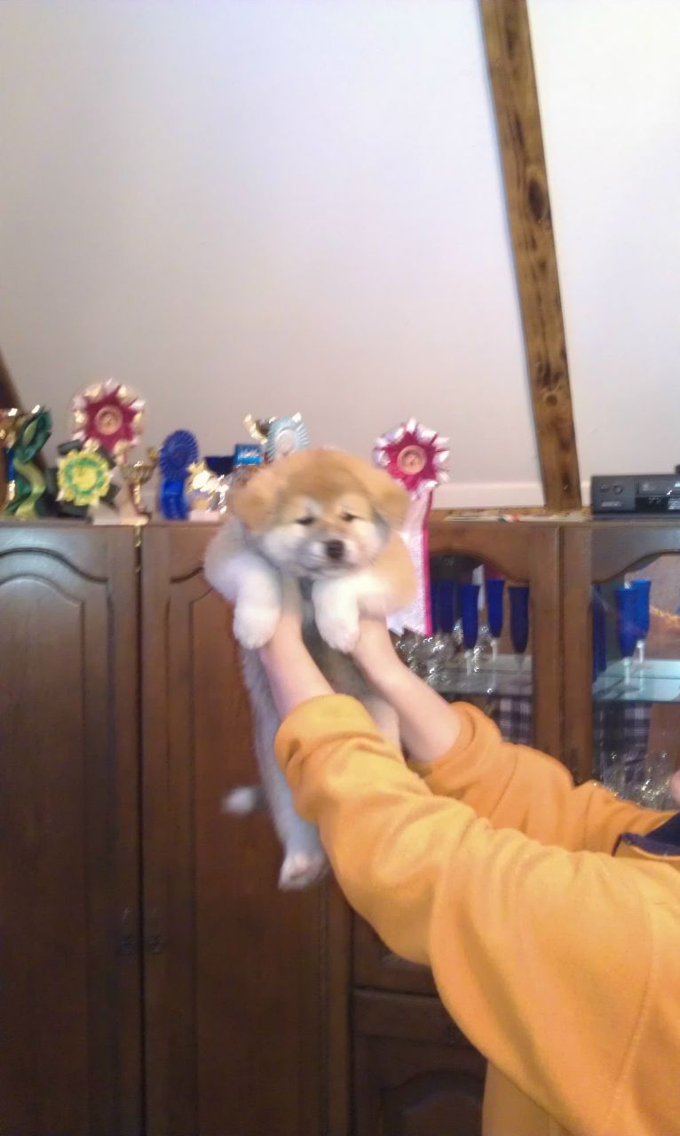 Ольга Булочникова | Москва