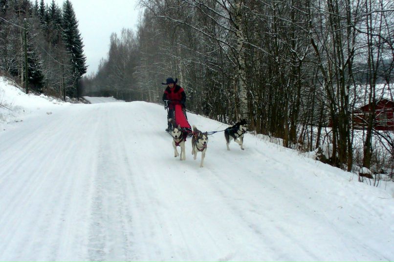 Вероника Понятовская | Санкт-Петербург