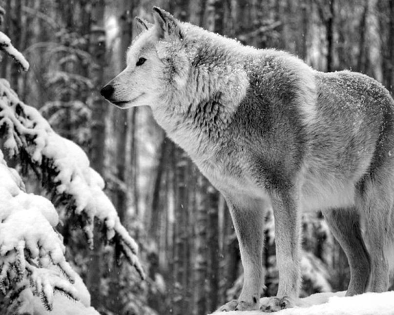 Коля Милинчук | Евпатория