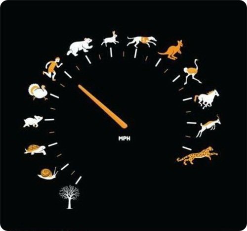 Дмитрий Дмитриев DDD | Москва