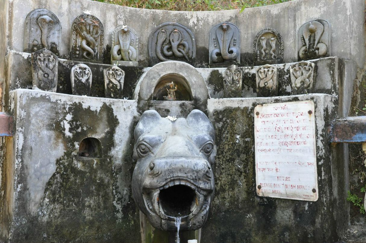 Роман Раджу 303 | 