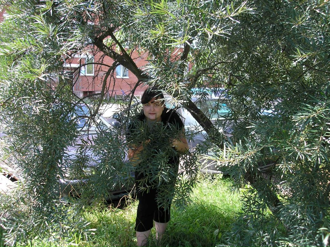 Ольга Алвес | Florianópolis