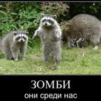 Алексей Журавлев