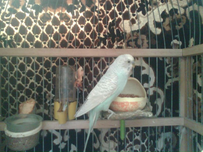 Виктория Савельева | 