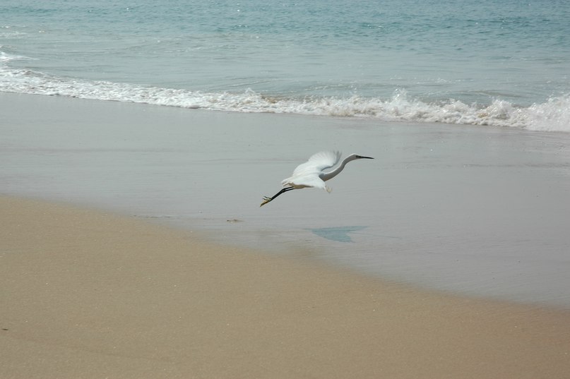 Владимир Журавлёв | Тюмень